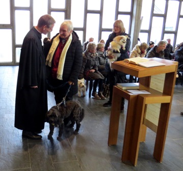 Tiergottesdienst 010 K.JPG