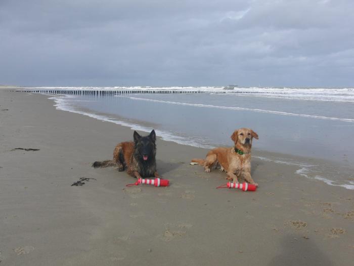 Happy und ihre beste Freundin am leeren Strand