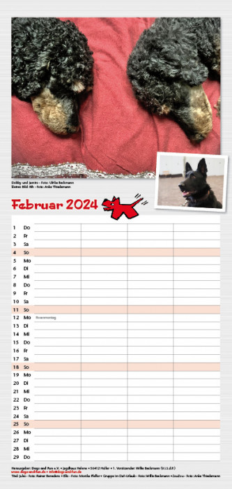 daf-kalender20243.jpg