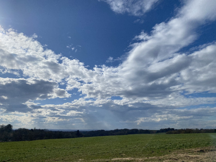 IMG_2723.jpeg