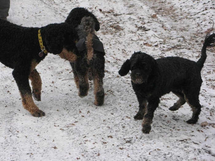 Ronja &quot;Eine Wanderung im Schnee,das würde mich freuen. Und wenn nicht, dann soll es wenigstens trocken bleiben.